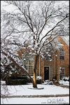 DigitalScape Photography
